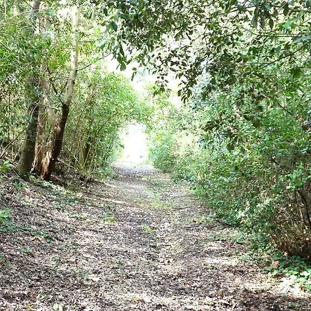 Guest house Chateau La Bouriette Moussoulens